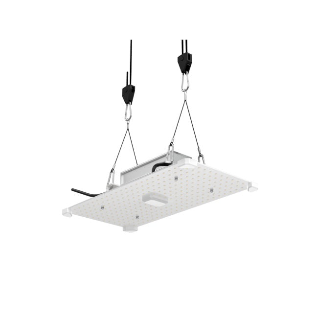 LUMii Black Blade 100 W LED, PPF 260 µmol/s