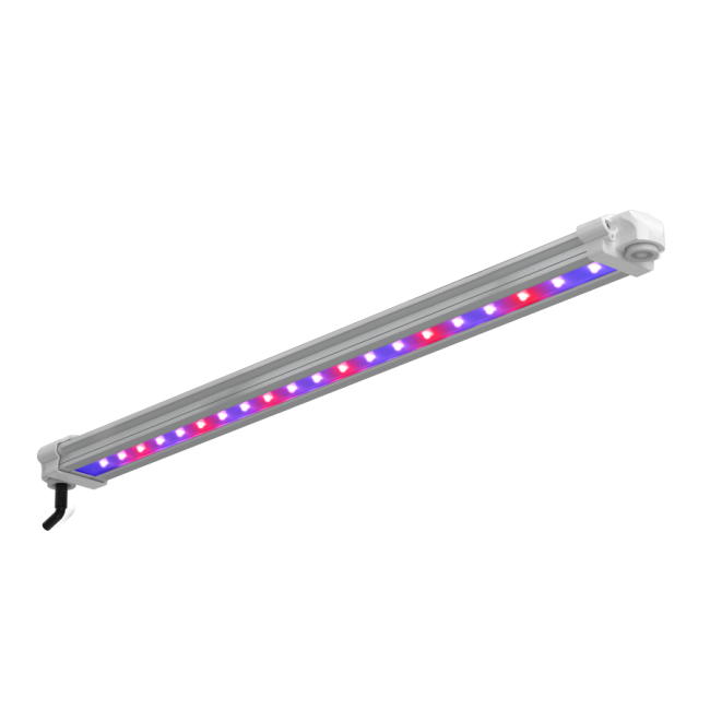 LUMii Black LED Leiste 30 W UV/FR