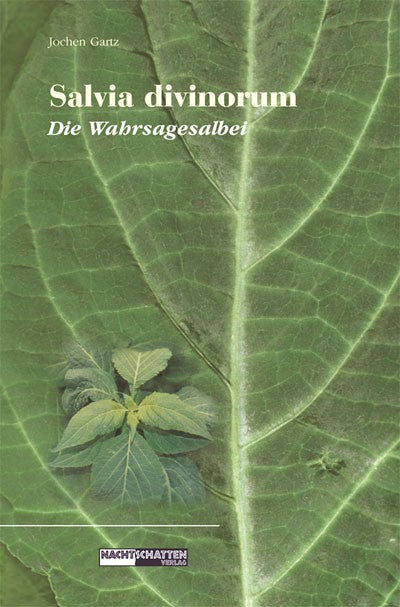 Salvia Divinorum - Wahrsagesalbei 80 Seiten