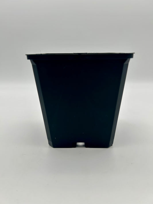 TEKU Topf viereckig stabil 1,55 L 13 x 13 x 13 cm