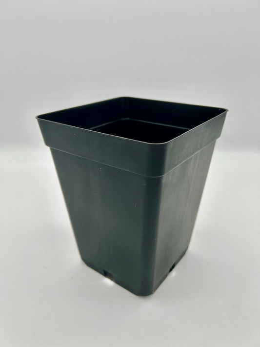 TEKU Topf, viereckig, 3,5 L, schwarz, 15 x 15 x 20 cm