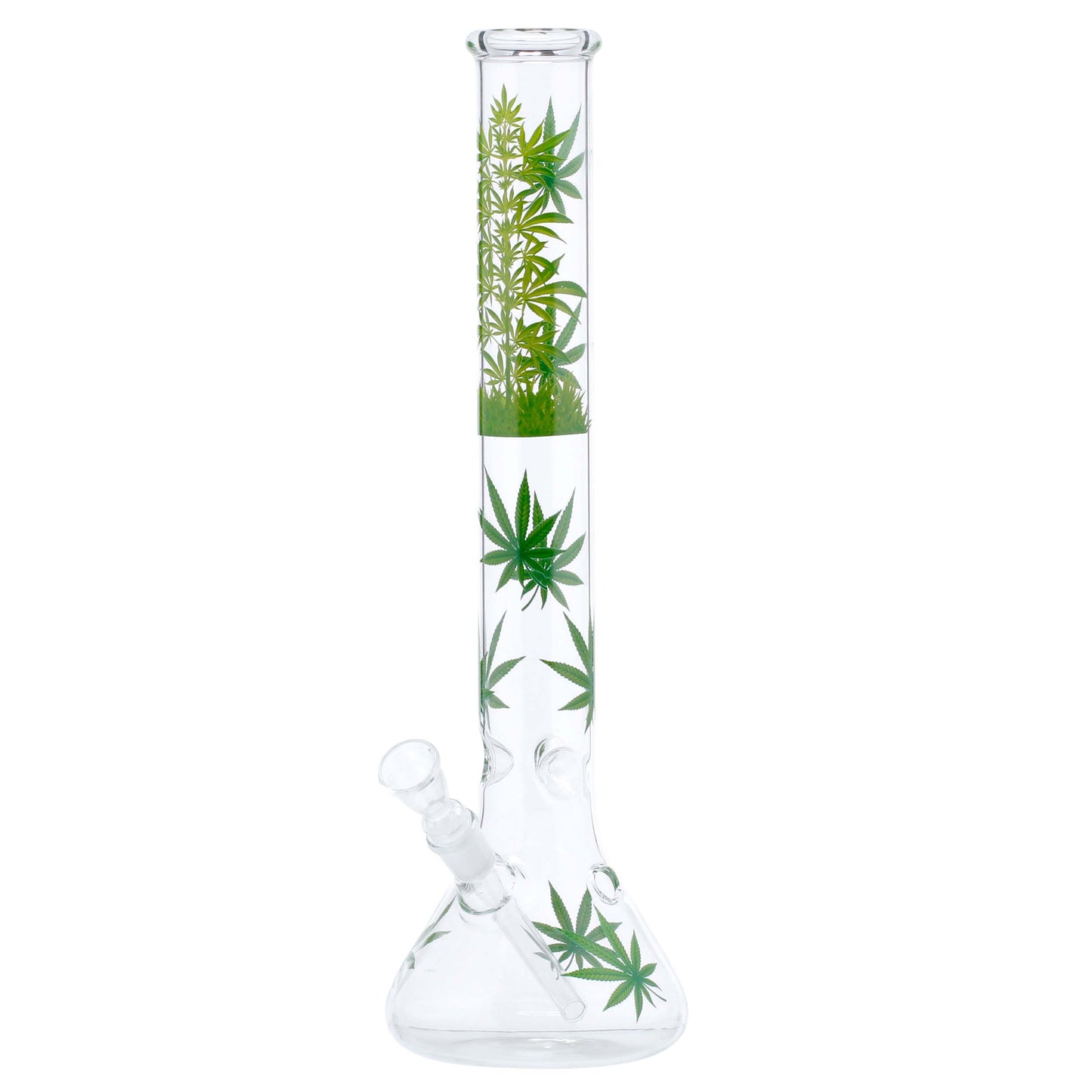Leaf Jhari GB Beaker , ca.45cm
