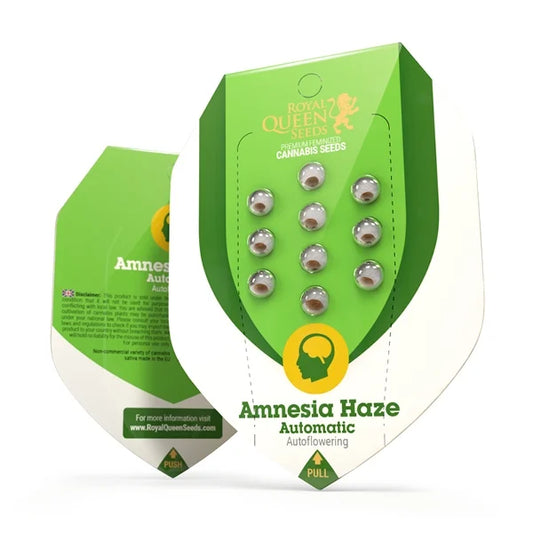 Royal Queen Seeds Amnesia Haze Auto 3 Samen