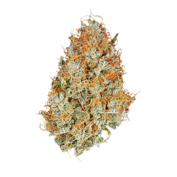 Royal Queen Seeds Amnesia Haze Auto 3 Samen