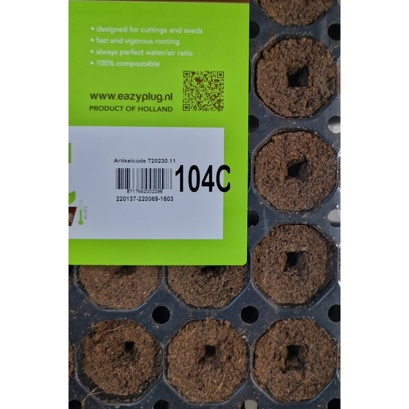 Eazy Plug Stecklingstray 104 C rund groß
