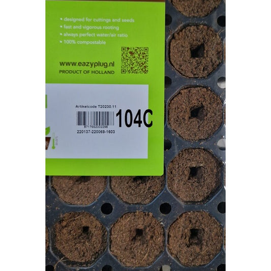 Eazy Plug Stecklingstray 104 C rund groß
