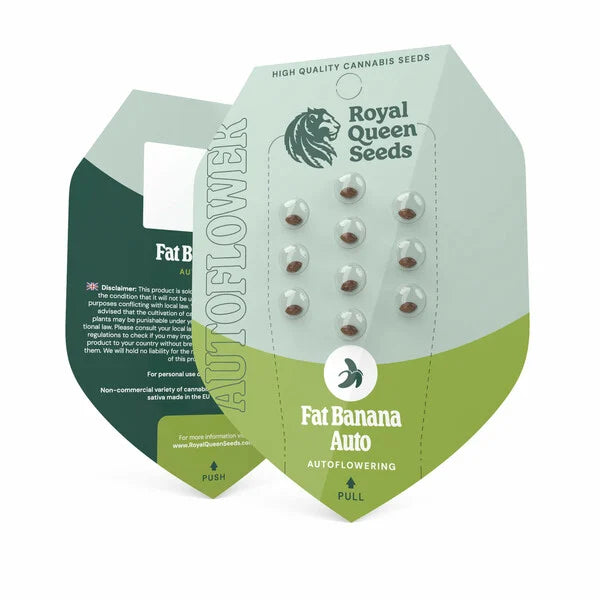 Royal Queen Seeds Fat Banana Auto 3er Pack