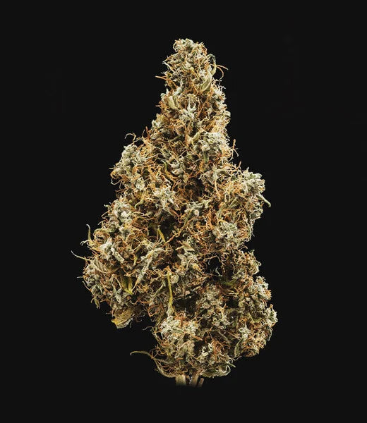 Royal Queen Seeds Mimosa Auto VE 3 Stück Sativa 65% Indica 30% Ruderalis 5%