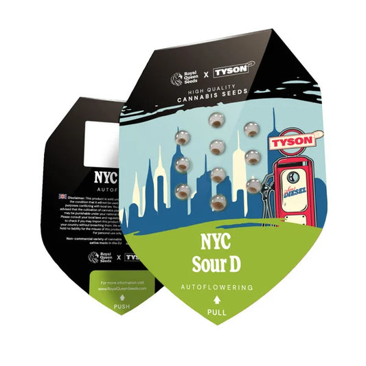 Royal Queen Seeds Tyson NYC Sour D Auto 3er Pack