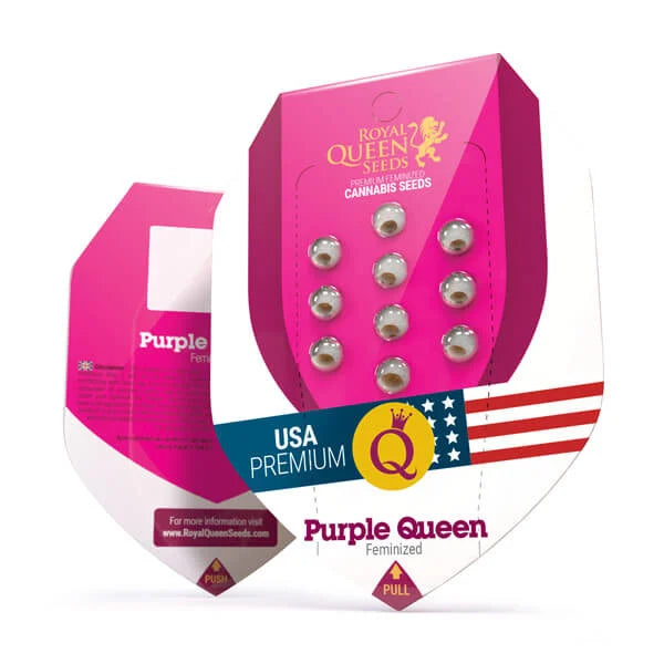 Royal Queen Seeds Purple Queen Feminisiert 3er Pack